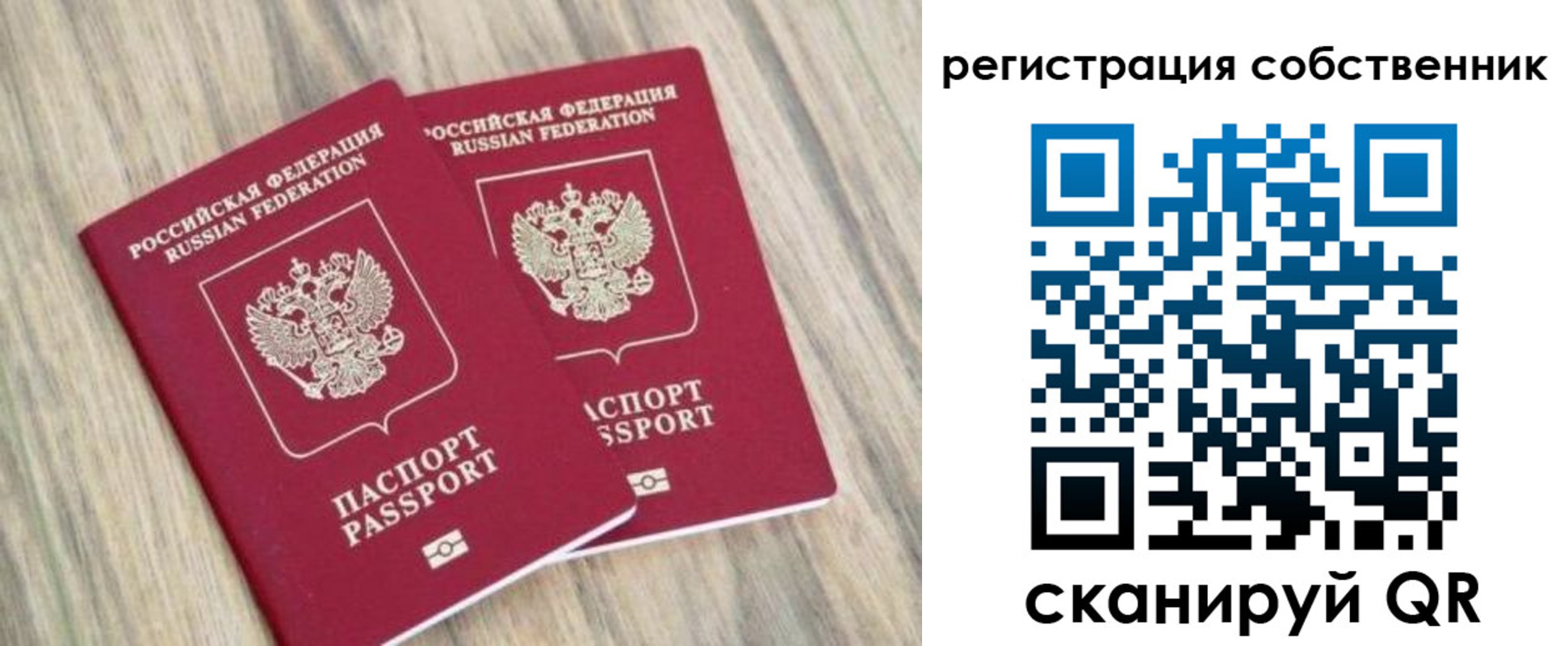 прописка ребенка в Коле